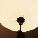 電笠[s01495]