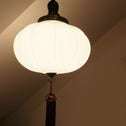 電笠[s01495]
