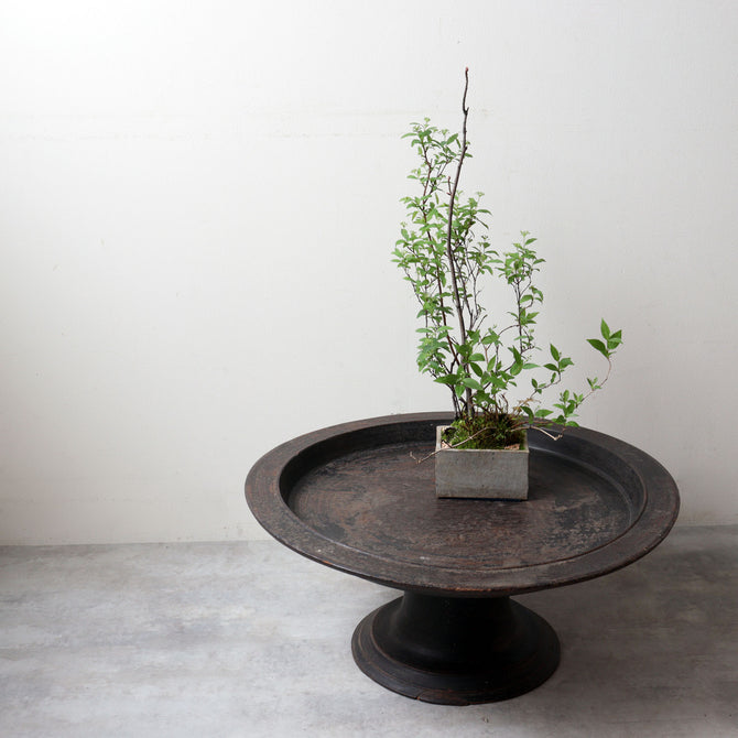 足付丸膳【High-footed round tray】[f0298]
