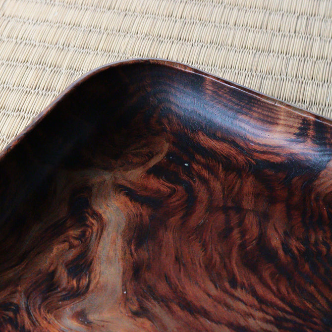 松小盆【Pine small tray】[s1524]