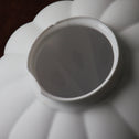 電笠[s01503]