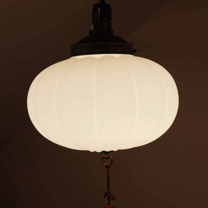 電笠[s01503]