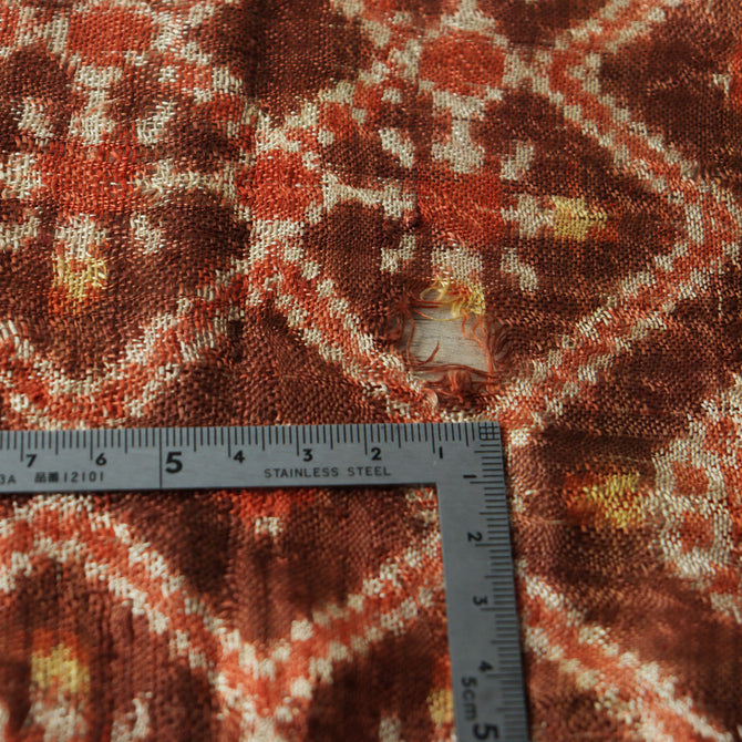 パトラ（赤茶）【Patora】 [TX154]