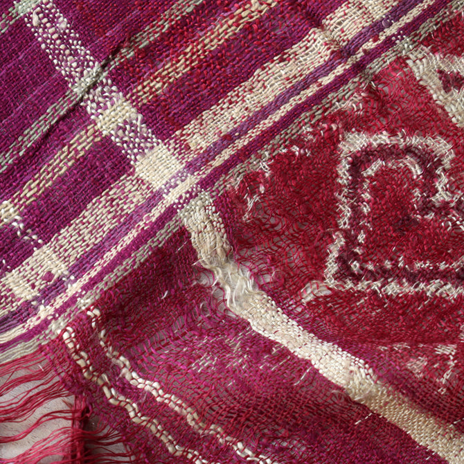 パトラ（赤紫）【Patora】[TX153]