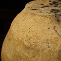 常滑壺【Tokoname pottery】 [k0416]