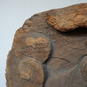 〈一対〉木鼻 獅子阿吽像【Chinese lion Kibana, temple and shrine exterior】 [k0419]
