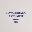 Spode製 大皿（27ｃｍ）２枚セット　 【 Spode large plate ×２・HAYASHIBARA ARTS】  [sp0004]