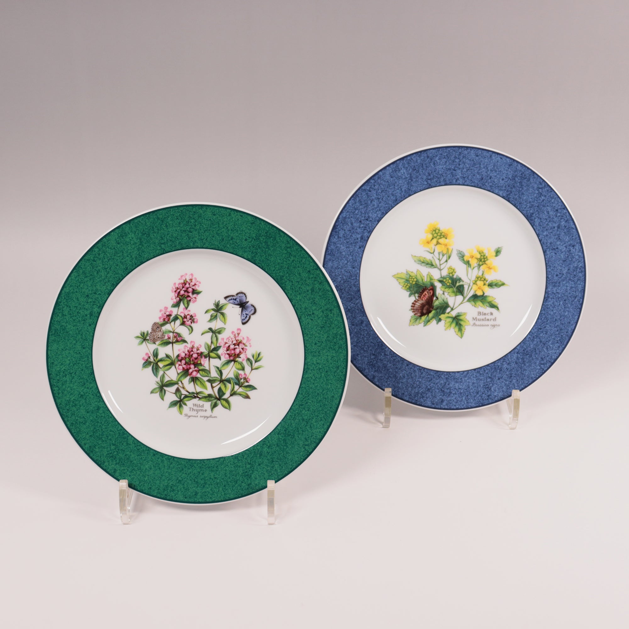 ROYAL WORCESTER ウースター 初期 Fenceパターン ティーボウル