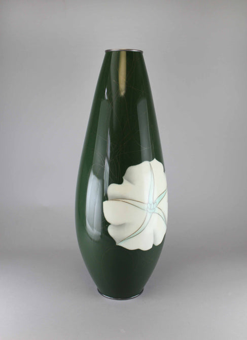夕顔図安藤七宝花瓶【 Cloisonne vase with Evening glory by ANDO SHIPPOU 】 [k0396]