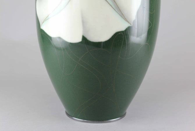 夕顔図安藤七宝花瓶【 Cloisonne vase with Evening glory by ANDO SHIPPOU 】 [k0396]